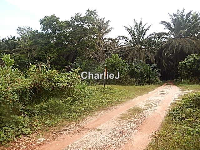 Industrial Land for Sale in Gambang Industrial Area, Kuantan by Charles Joseph - iProperty.com.my
