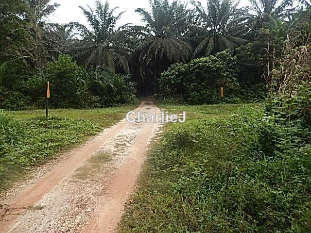 Industrial Land for Sale in Gambang Industrial Area, Kuantan by Charles Joseph - iProperty.com.my
