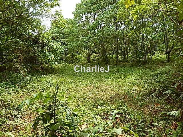 Residential Land for Sale in Balik Pulau, Balik Pulau by Charles Joseph - iProperty.com.my