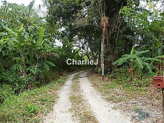 Residential Land for Sale in Balik Pulau, Balik Pulau by Charles Joseph - iProperty.com.my
