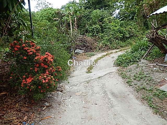 Residential Land for Sale in Balik Pulau, Balik Pulau by Charles Joseph - iProperty.com.my