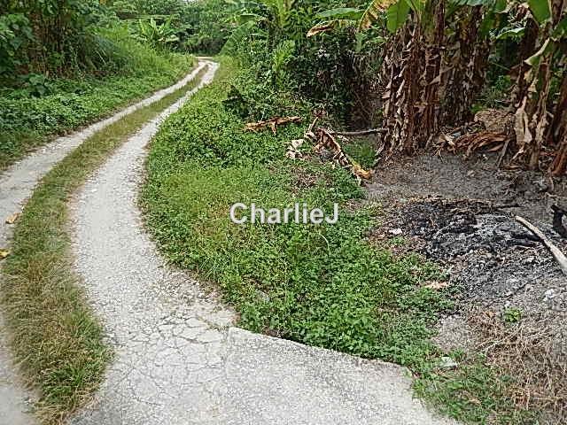 Residential Land for Sale in Balik Pulau, Balik Pulau by Charles Joseph - iProperty.com.my