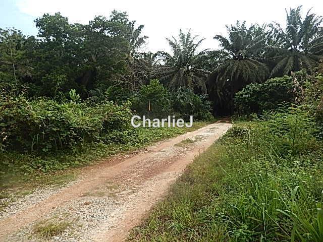 Industrial Land for Sale in Gambang Industrial Area, Kuantan by Charles Joseph - iProperty.com.my