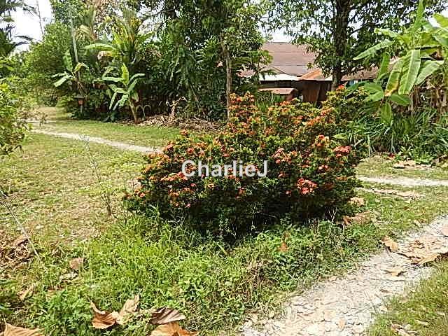 Residential Land for Sale in Balik Pulau, Balik Pulau by Charles Joseph - iProperty.com.my