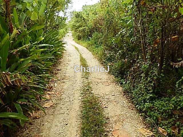 Residential Land for Sale in Balik Pulau, Balik Pulau by Charles Joseph - iProperty.com.my