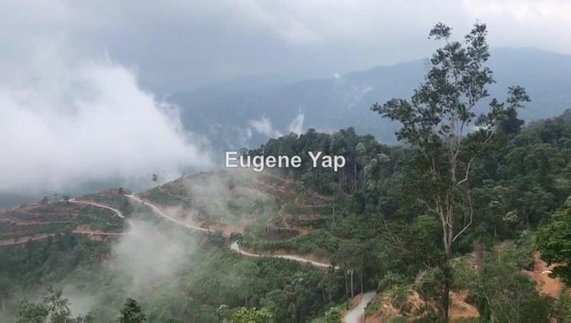 Tanah Pertanian untuk Dijual di Janda Baik, Bentong oleh Eugene Yap - iProperty.com.my