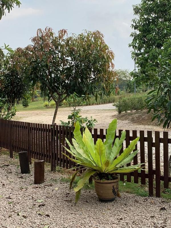 Bungalow House for Rent in Leisure farm, Iskandar Puteri (Nusajaya) by Owen Tan - iProperty.com.my