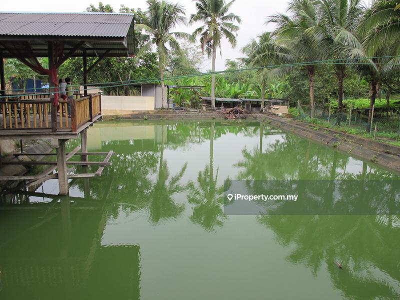 Tanah Pertanian untuk Dijual di Batu Arang, Selangor oleh Peter Chong - iProperty.com.my
