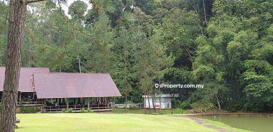 Agricultural Land for Sale in Tanarimba,Janda Baik,Bentong, Bentong by Eugene Yap - iProperty.com.my