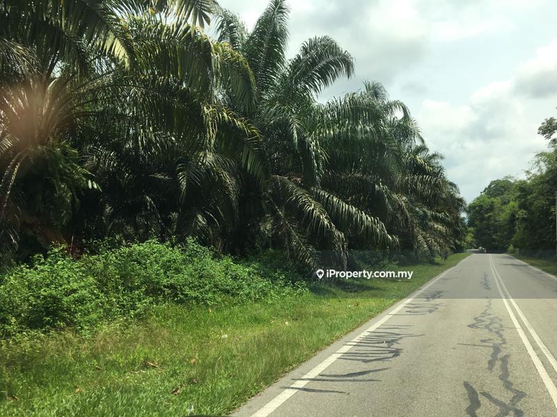 Tanah Pertanian untuk Dijual di Telemong, Karak oleh Damon Wong - iProperty.com.my