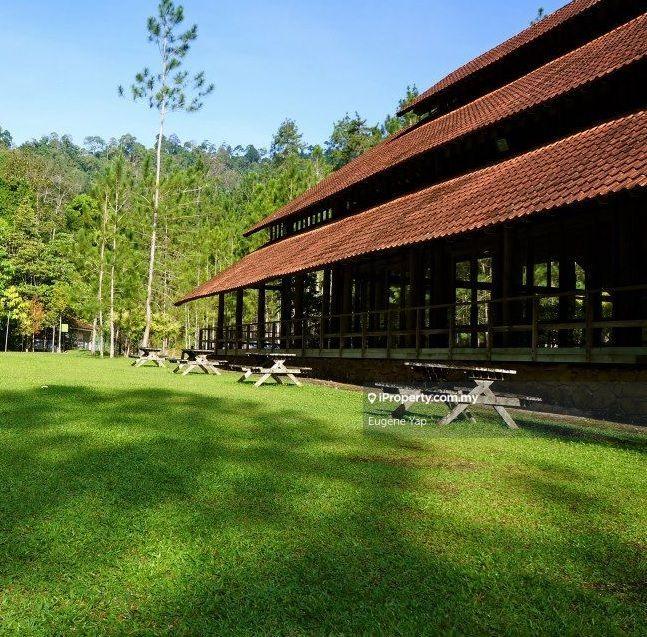 Agricultural Land for Sale in Tanarimba,Janda Baik,Bentong, Bentong by Eugene Yap - iProperty.com.my