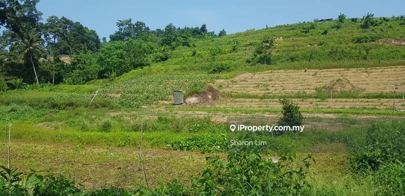 Tanah Kediaman untuk Dijual di Bayan Lepas, Gertak Sanggul oleh Sharon Lim - iProperty.com.my