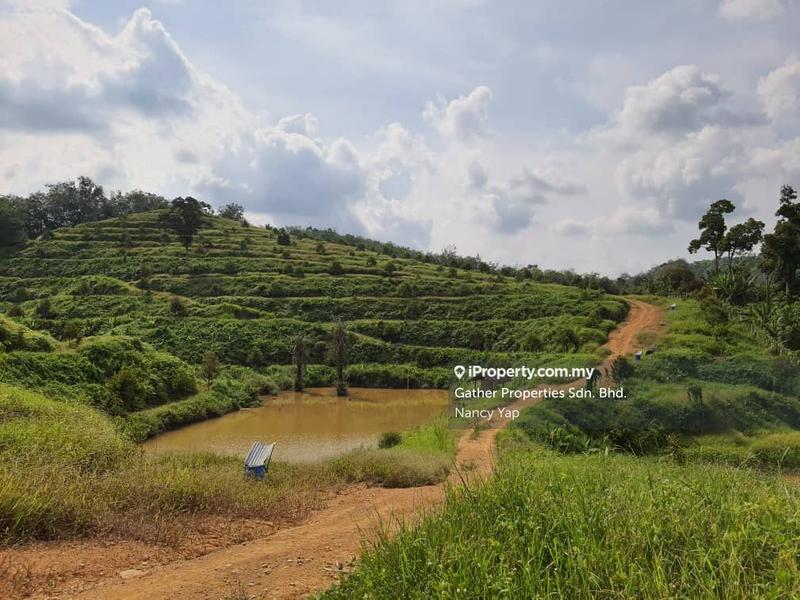 Agricultural Land for Sale in Karak, Pahang by Nancy Yap - iProperty.com.my