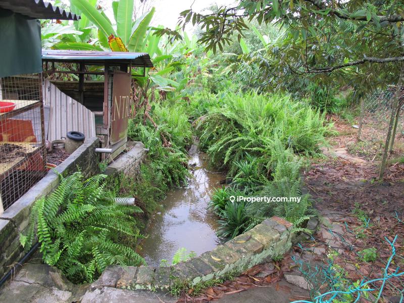 Tanah Pertanian untuk Dijual di Batu Arang, Selangor oleh Peter Chong - iProperty.com.my