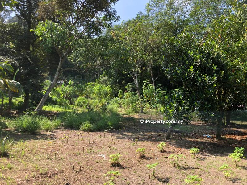 For Sale - Sungai Penchala