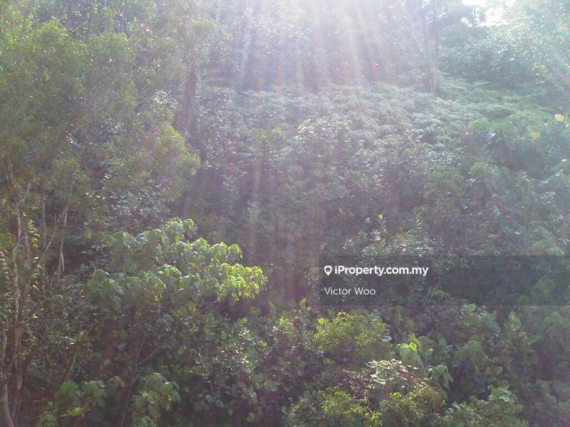 Bungalow House for Sale in Bukit Damansara, Damansara Heights by Victor Woo - iProperty.com.my