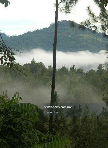 Agricultural Land for Sale in Tanarimba,Janda Baik,Bentong, Bentong by Eugene Yap - iProperty.com.my