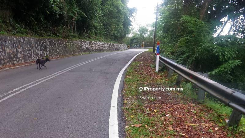 Tanah Kediaman untuk Dijual di Bayan Lepas, Gertak Sanggul oleh Sharon Lim - iProperty.com.my