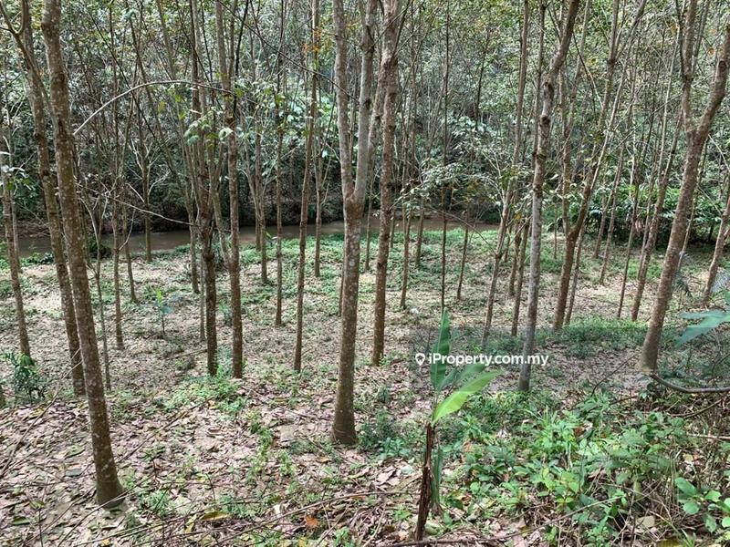 Tanah Pertanian untuk Dijual di Kenaboi Titi Jelebu Kuala klawang Land, Titi oleh Terence Lok - iProperty.com.my