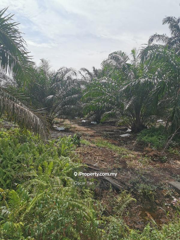 For Sale - sungai pulai