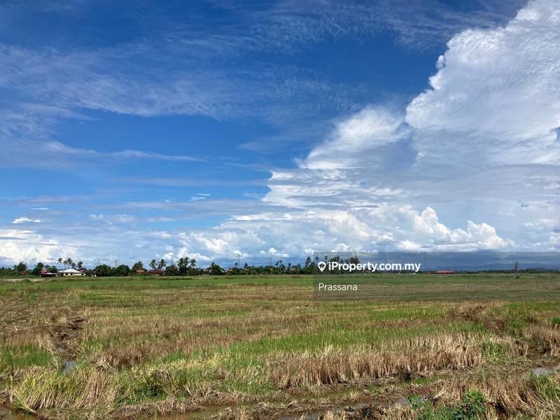 Agricultural Land for Sale in Sungai Dua, Butterworth by Prassana - iProperty.com.my
