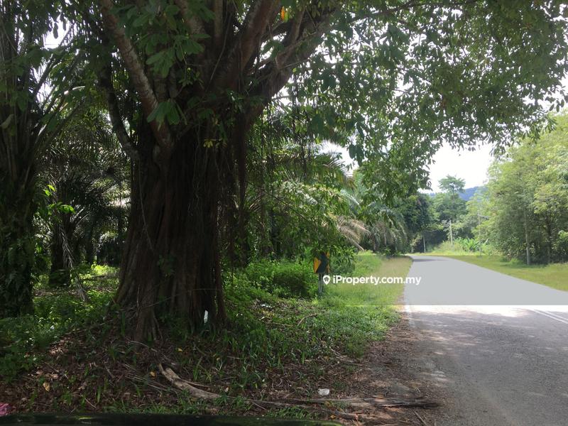 Tanah Pertanian untuk Dijual di Telemong, Karak oleh Damon Wong - iProperty.com.my