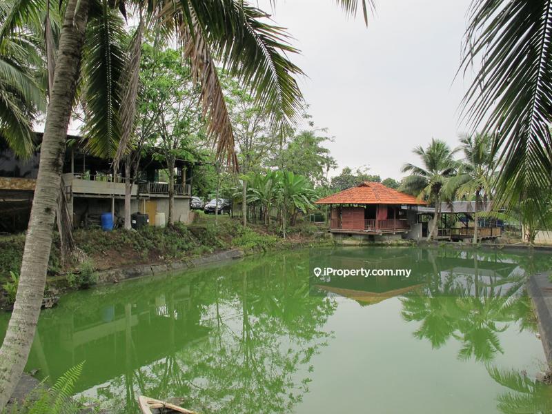 Tanah Pertanian untuk Dijual di Batu Arang, Selangor oleh Peter Chong - iProperty.com.my