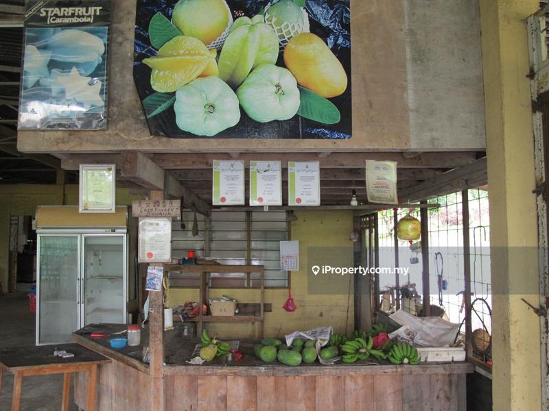 For Sale - Mixed Fruit Orcahrd