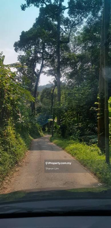 Tanah Kediaman untuk Dijual di Bayan Lepas, Gertak Sanggul oleh Sharon Lim - iProperty.com.my