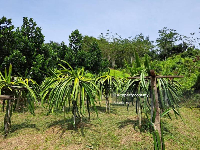 Agricultural Land for Sale in Papar, Sabah by Angela Yen - iProperty.com.my