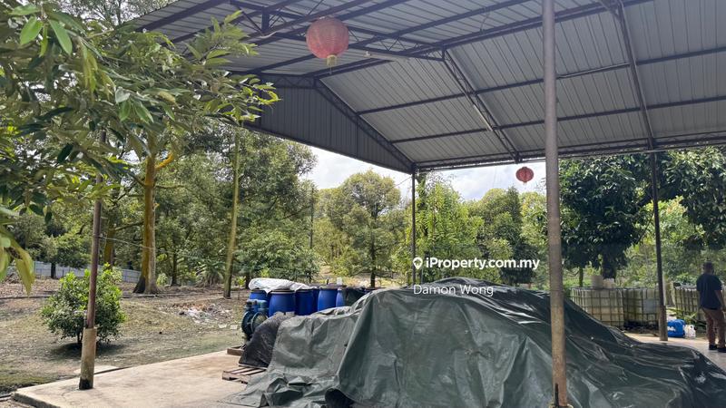 Agricultural Land for Sale in Sungai Klau, Gali by Damon Wong - iProperty.com.my