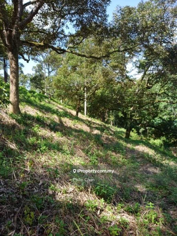 Agricultural Land for Sale in Kampung Perting, Bentong by Philip Chan - iProperty.com.my