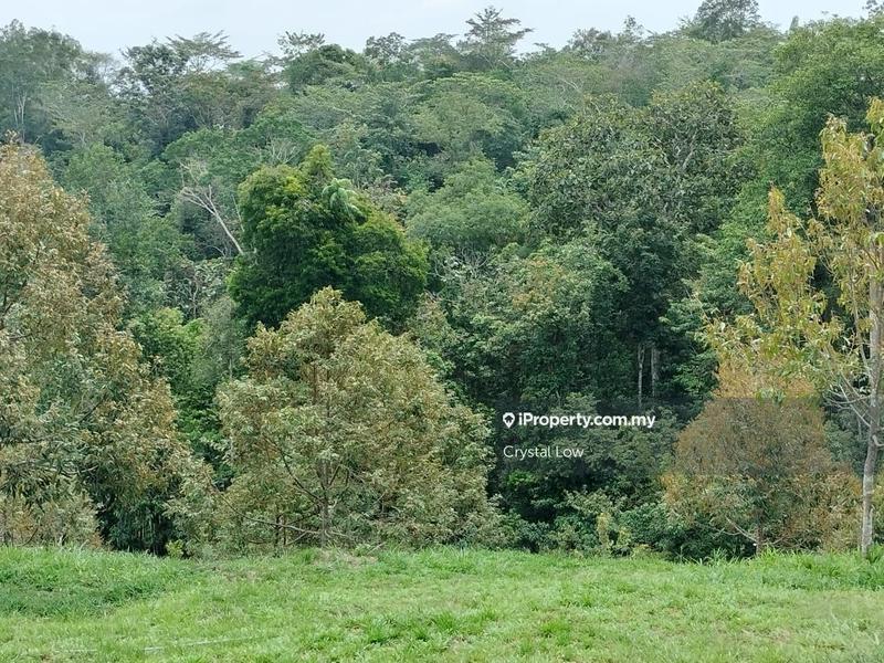Tanah Pertanian untuk Dijual di Sega, Raub oleh Crystal Low - iProperty.com.my