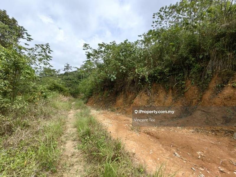 Tanah Pertanian untuk Dijual di Bandar Raub Perdana, Raub oleh Vincent Tee - iProperty.com.my
