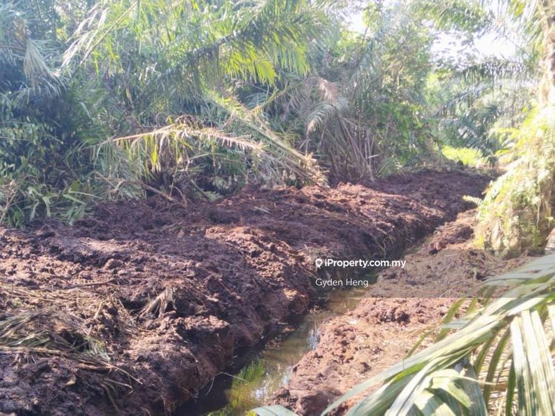 Agricultural Land for Rent in Kampung Parit Sikom Lapis, Ayer Baloi by Gyden Heng - iProperty.com.my