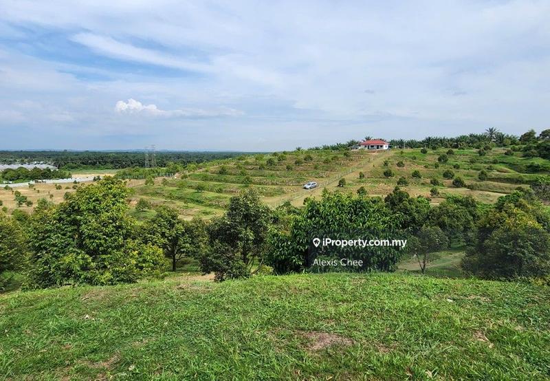 Agricultural Land for Sale in Gopeng, Perak by Alexis Chee - iProperty.com.my