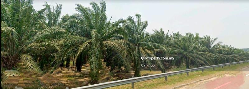 Tanah Pertanian untuk Dijual di Negeri Johor Daerah Segamat Mukim Pogoh, Pogoh oleh CY Khoo - iProperty.com.my