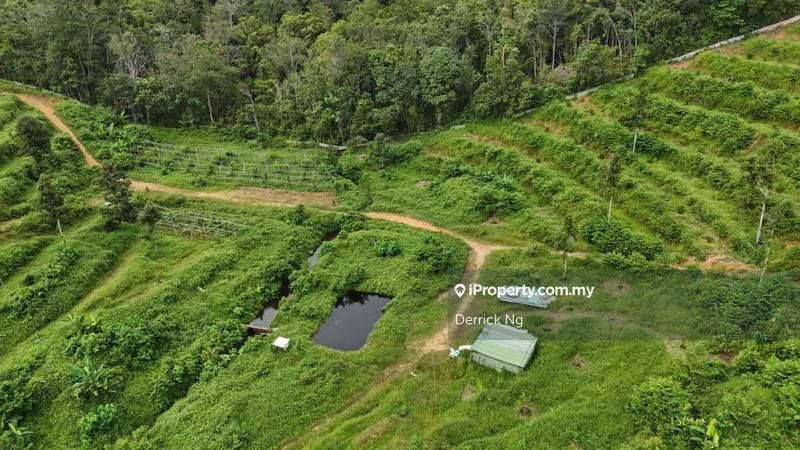 Tanah Pertanian untuk Dijual di x37oi, Gurun oleh Derrick Ng - iProperty.com.my