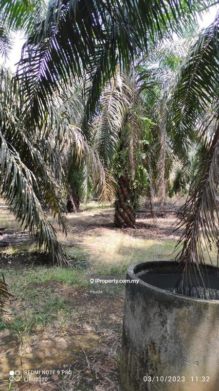 Tanah Pertanian untuk Dijual di Parit Yaani, Yong Peng oleh Huda - iProperty.com.my