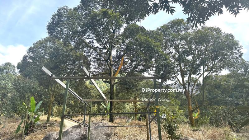 Tanah Pertanian untuk Dijual di Sungai Klau, Raub oleh Damon Wong - iProperty.com.my