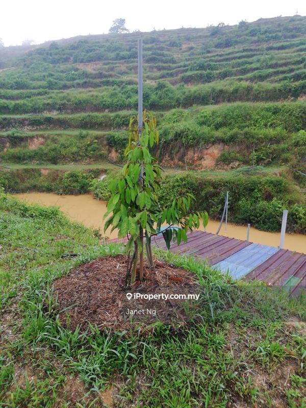 Agricultural Land for Sale in Taman Ampang Pecah, Kuala Kubu Bharu by Janet Ng - iProperty.com.my