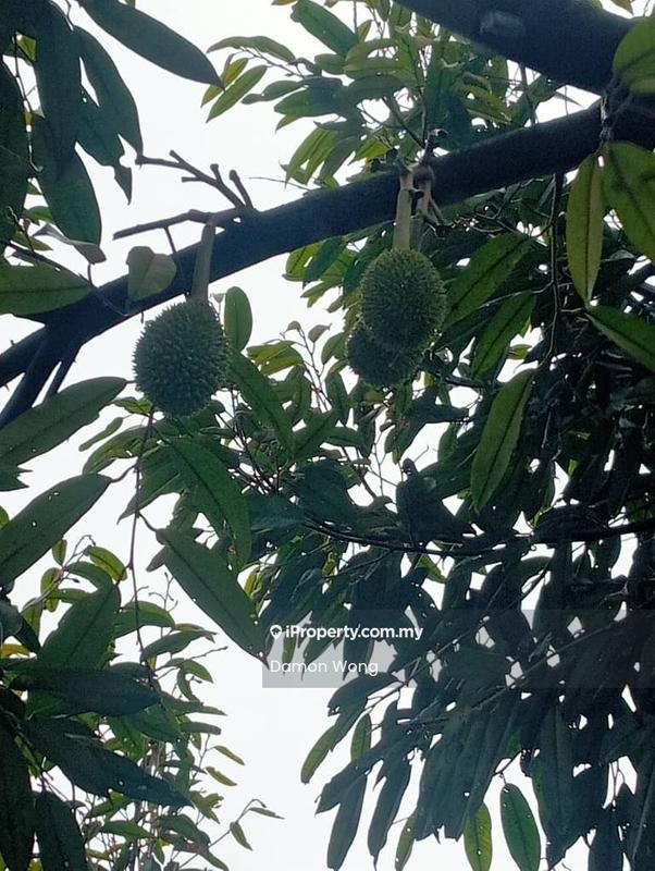 Tanah Pertanian untuk Dijual di Kampung Sungai Muntoh, Titi oleh Damon Wong - iProperty.com.my