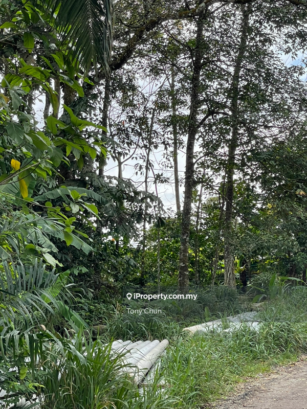 Tanah Perindustrian untuk Dijual di Broga , Semenyih, Semenyih oleh Tony Chun - iProperty.com.my