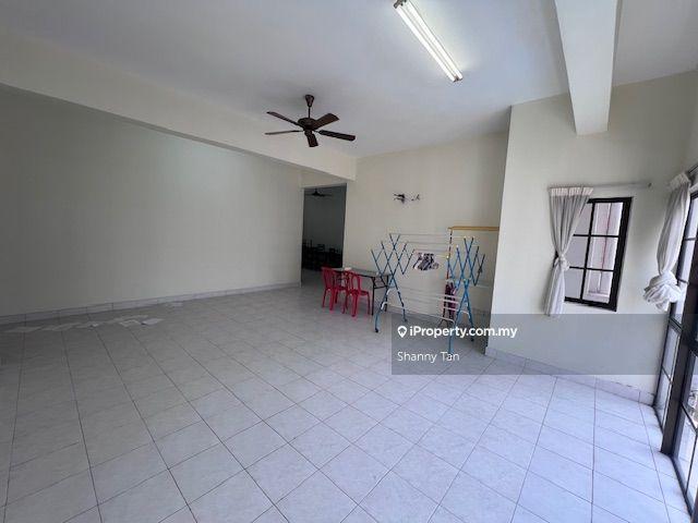 For Sale - Evergreen Park Scot Pine