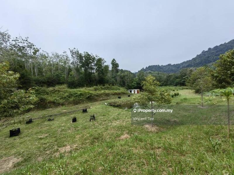 Tanah Pertanian untuk Dijual di Kampung Renal, Kuala Klawang oleh Vincent Tee - iProperty.com.my