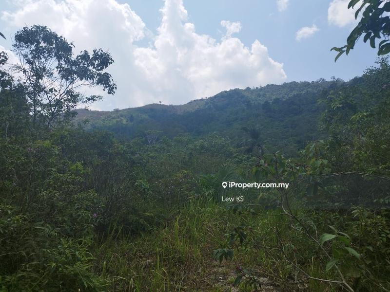 For Sale - Kalumpang Agri Land
