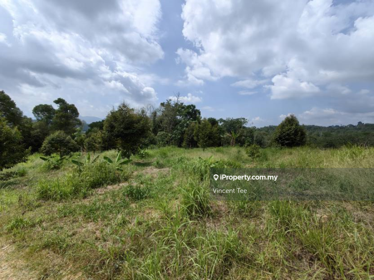Tanah Pertanian untuk Dijual di Bandar Raub Perdana, Raub oleh Vincent Tee - iProperty.com.my