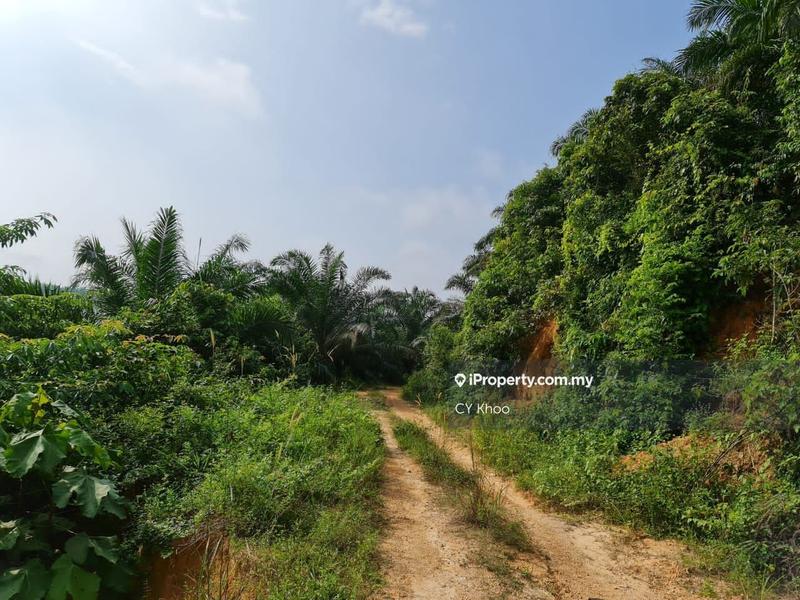 Agricultural Land for Sale in Negeri Sembilan Kuala Pilah Johol, Kuala Pilah by CY Khoo - iProperty.com.my