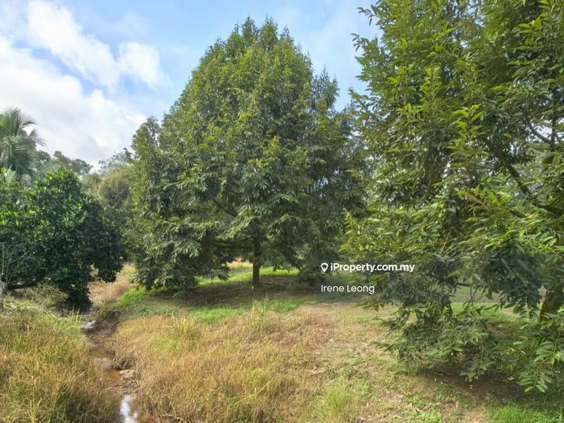 Agricultural Land for Sale in Karak, Pahang by Irene Leong - Exterior - iProperty.com.my
