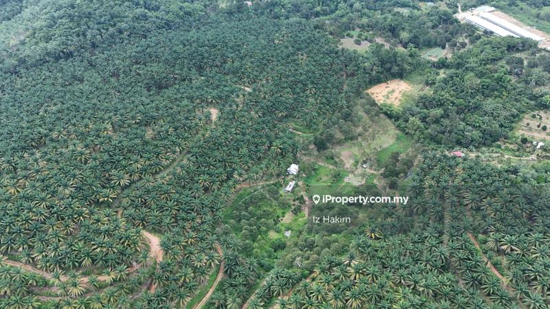 Agricultural Land for Sale in Kuala Kubu Baru, Selangor by Iz Hakim - iProperty.com.my